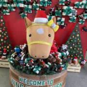 ヒメ日記 2025/12/25 07:57 投稿 松本きょうこ 横浜プロダクション