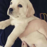 ヒメ日記 2026/01/03 08:43 投稿 松本きょうこ 横浜プロダクション