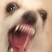 ヒメ日記 2026/01/04 06:08 投稿 松本きょうこ 横浜プロダクション