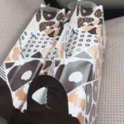 ヒメ日記 2026/01/12 08:53 投稿 松本きょうこ 横浜プロダクション