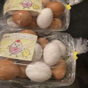 ヒメ日記 2026/01/12 11:00 投稿 松本きょうこ 横浜プロダクション