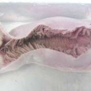 ヒメ日記 2026/01/21 07:00 投稿 松本きょうこ 横浜プロダクション