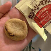 ヒメ日記 2026/01/23 16:24 投稿 松本きょうこ 横浜プロダクション