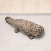 ヒメ日記 2026/01/27 10:50 投稿 松本きょうこ 横浜プロダクション