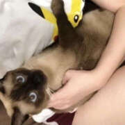 ヒメ日記 2026/02/02 05:49 投稿 松本きょうこ 横浜プロダクション