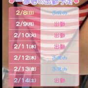 ヒメ日記 2026/02/08 10:30 投稿 松本きょうこ 横浜プロダクション