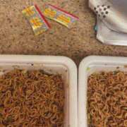 ヒメ日記 2026/02/08 14:00 投稿 松本きょうこ 横浜プロダクション