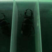 ヒメ日記 2026/02/09 06:00 投稿 松本きょうこ 横浜プロダクション