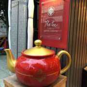 ヒメ日記 2026/02/10 16:37 投稿 松本きょうこ 横浜プロダクション