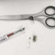 ヒメ日記 2026/02/11 08:10 投稿 松本きょうこ 横浜プロダクション