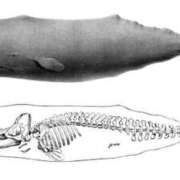 ヒメ日記 2026/02/14 08:15 投稿 松本きょうこ 横浜プロダクション