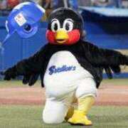 ヒメ日記 2026/02/17 12:00 投稿 松本きょうこ 横浜プロダクション