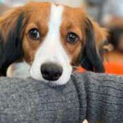 ヒメ日記 2026/02/21 08:00 投稿 松本きょうこ 横浜プロダクション