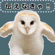 ヒメ日記 2026/02/22 14:24 投稿 松本きょうこ 横浜プロダクション