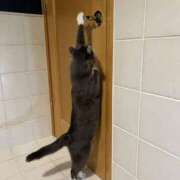 ヒメ日記 2026/02/25 07:18 投稿 松本きょうこ 横浜プロダクション