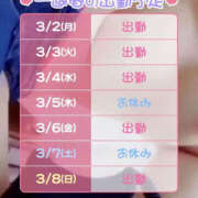 ヒメ日記 2026/03/02 06:15 投稿 松本きょうこ 横浜プロダクション