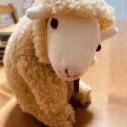 ヒメ日記 2026/03/04 12:10 投稿 松本きょうこ 横浜プロダクション