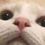 ヒメ日記 2026/03/04 15:30 投稿 松本きょうこ 横浜プロダクション