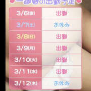 ヒメ日記 2026/03/06 06:36 投稿 松本きょうこ 横浜プロダクション