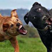 ヒメ日記 2026/03/06 09:06 投稿 松本きょうこ 横浜プロダクション