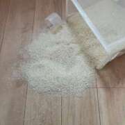 ヒメ日記 2026/03/12 19:12 投稿 松本きょうこ 横浜プロダクション