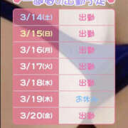 ヒメ日記 2026/03/14 03:31 投稿 松本きょうこ 横浜プロダクション