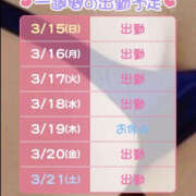 ヒメ日記 2026/03/15 07:00 投稿 松本きょうこ 横浜プロダクション