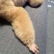 ヒメ日記 2026/03/15 09:06 投稿 松本きょうこ 横浜プロダクション