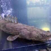 ヒメ日記 2026/03/15 16:15 投稿 松本きょうこ 横浜プロダクション