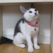 ヒメ日記 2026/03/19 08:15 投稿 松本きょうこ 横浜プロダクション