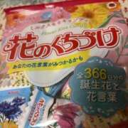 ヒメ日記 2026/03/20 10:00 投稿 松本きょうこ 横浜プロダクション