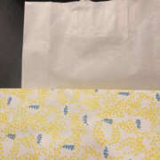 ヒメ日記 2026/03/21 06:10 投稿 松本きょうこ 横浜プロダクション