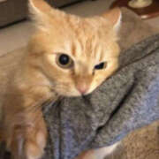 ヒメ日記 2026/03/21 06:30 投稿 松本きょうこ 横浜プロダクション