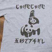 ヒメ日記 2026/03/21 08:00 投稿 松本きょうこ 横浜プロダクション