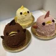 ヒメ日記 2026/03/21 18:00 投稿 松本きょうこ 横浜プロダクション