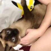 ヒメ日記 2026/03/22 07:00 投稿 松本きょうこ 横浜プロダクション