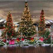 ヒメ日記 2024/12/19 10:11 投稿 冬月かんな 横浜プロダクション