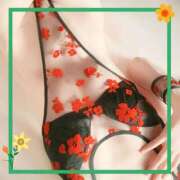 ヒメ日記 2025/08/25 08:51 投稿 ありす 奥様の実話 谷九店