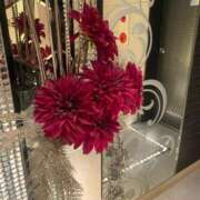 ヒメ日記 2025/08/31 11:00 投稿 まき プリコレ（PRINCESS COLLECTION）