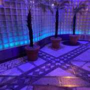 ヒメ日記 2025/09/15 11:00 投稿 まき プリコレ（PRINCESS COLLECTION）