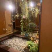 ヒメ日記 2025/09/25 11:00 投稿 まき プリコレ（PRINCESS COLLECTION）