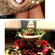 ヒメ日記 2024/12/16 17:37 投稿 ゆうな 土山熟女・美少女ならココ！