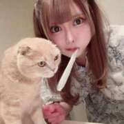 ヒメ日記 2025/07/26 03:03 投稿 ラビ ワンダーホール24in幕張