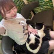 ヒメ日記 2025/08/10 04:50 投稿 ラビ ワンダーホール24in幕張