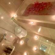 ヒメ日記 2024/12/28 05:04 投稿 ラビ ワンダーホール24