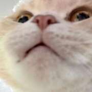 ラビ もう猫の手を借りるしかない ワンダーホール24