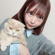 ラビ 明日からいます🎶 ワンダーホール24