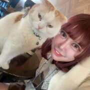 ラビ おでかけ🐈 ワンダーホール24