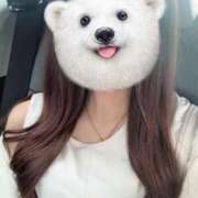 ヒメ日記 2025/05/12 19:33 投稿 ここ 美少女宅急便