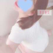 ヒメ日記 2025/04/16 16:46 投稿 なな 静岡駅前ちゃんこ